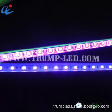 Beauty Colorfull 5050 Waterproof Rigid LED Strip Light